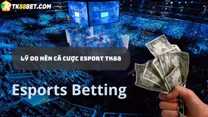 Vì sao nên tham gia cá cược esport TK88?