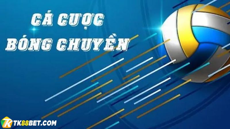 Dịch vụ giải trí bóng chuyền